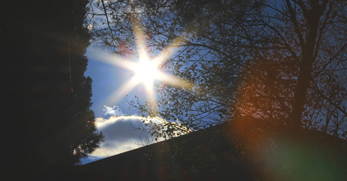 Vitamina D: por qué no elegir una dosis mirando el producto más vendido